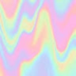 Meet your Posher, Jessamy